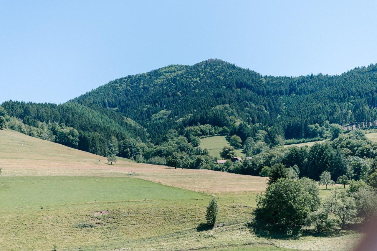Moderne 2 Zi.-Fewo Blackforestart Naehe Freiburg Simonswald Eksteriør bilde
